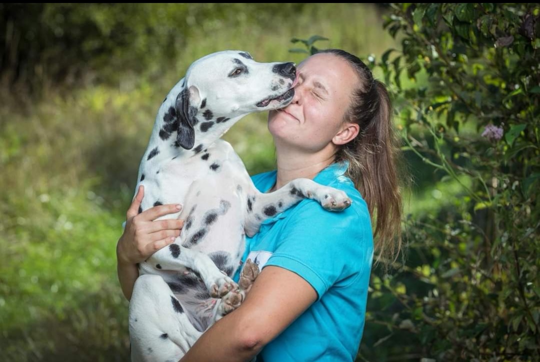 Doggy World éducateur canin Angoulême — photo