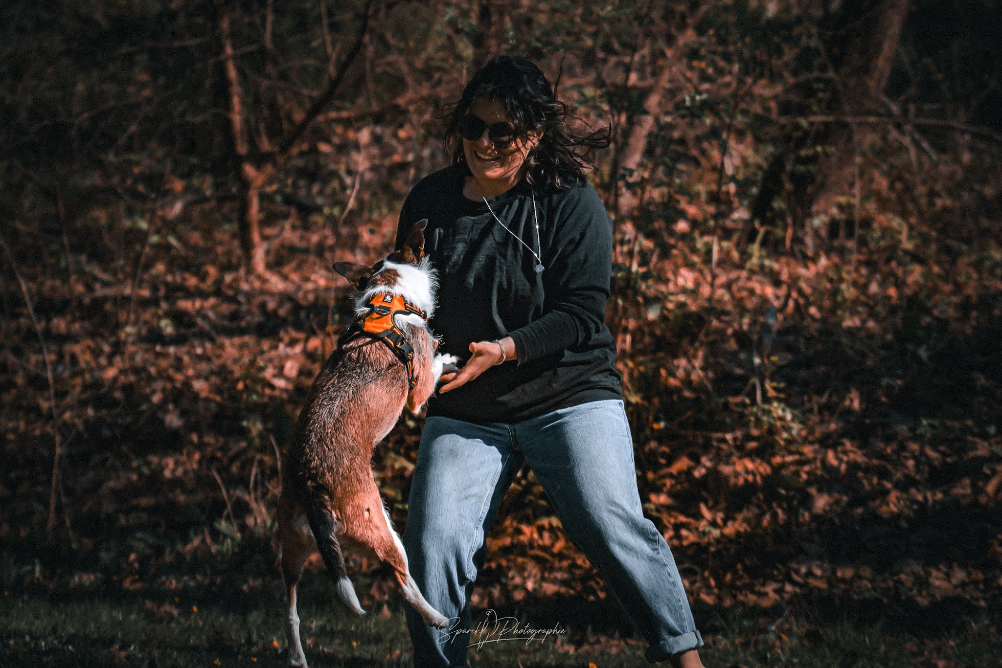 Servane : Bien-être Complice | Comportementaliste équin, canin et félin — photo