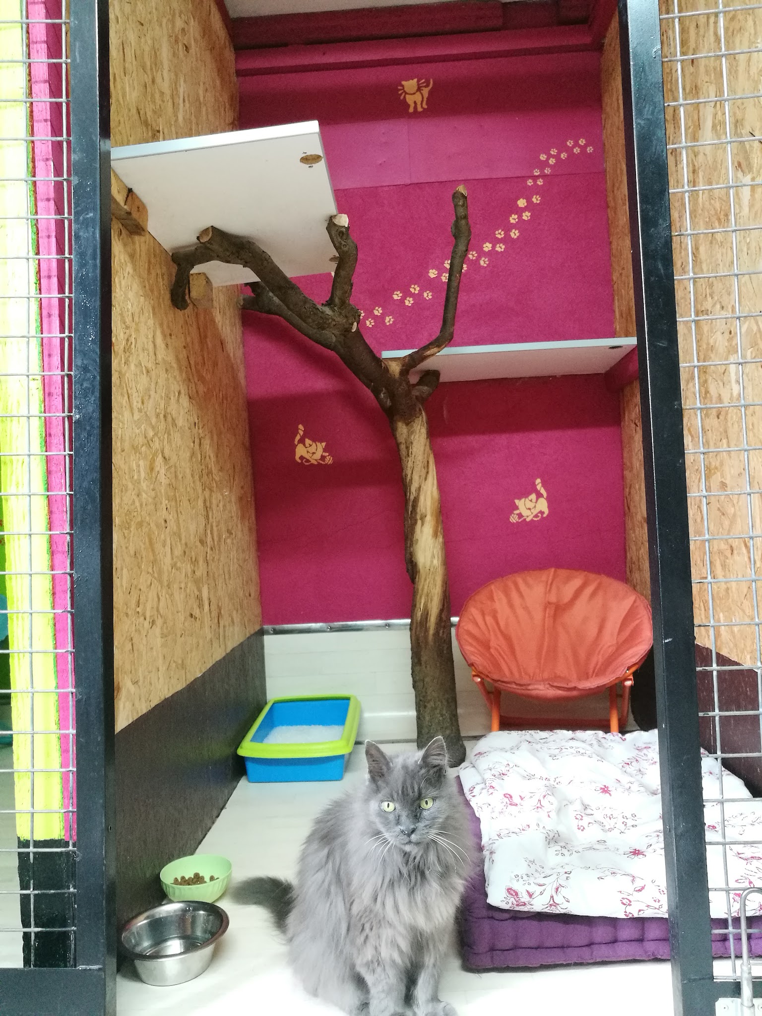 Auberge Animalière de Massacos — photo