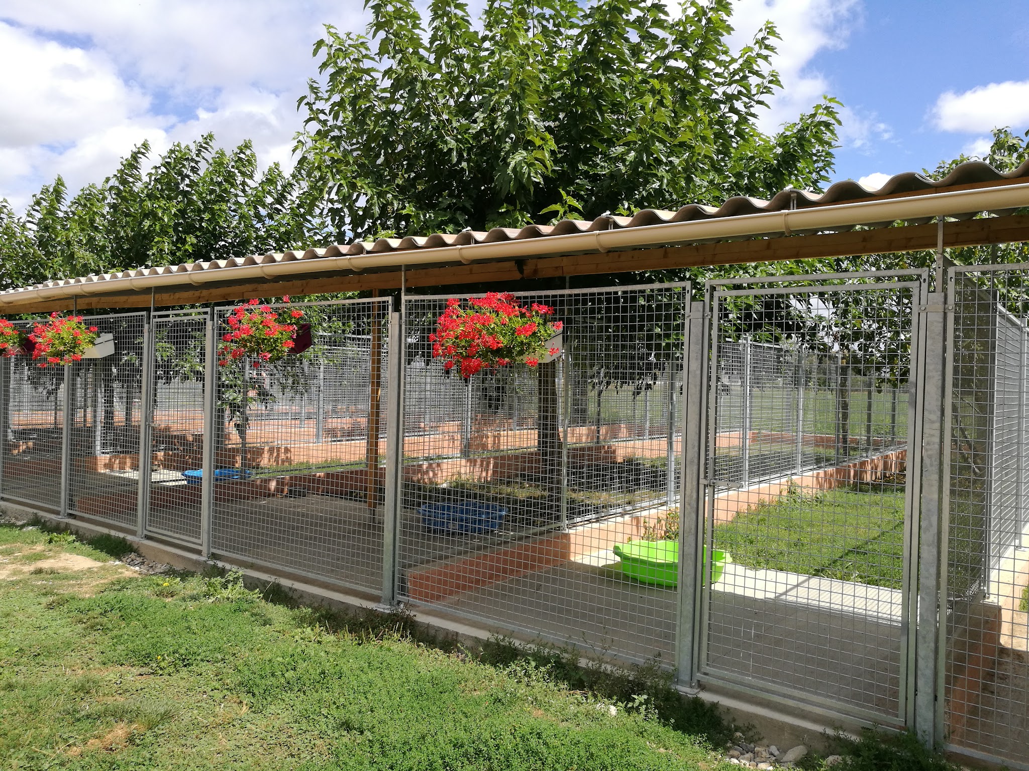 Auberge Animalière de Massacos — photo