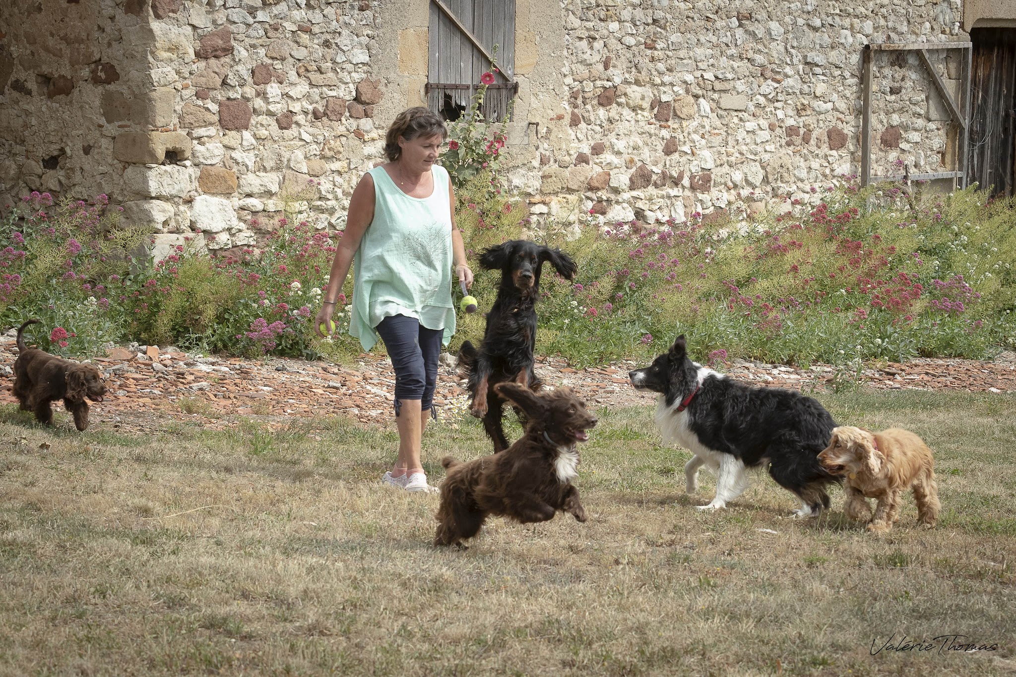 Pension Canine du Grand Langeron — photo