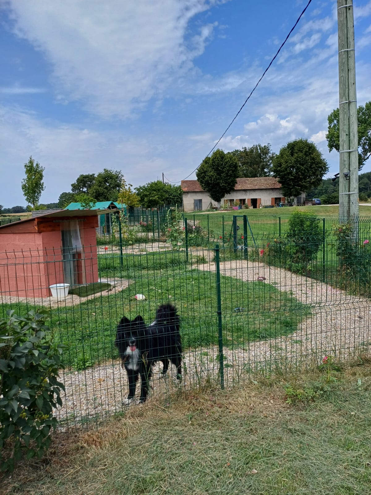 Pension Canine du Grand Langeron — photo