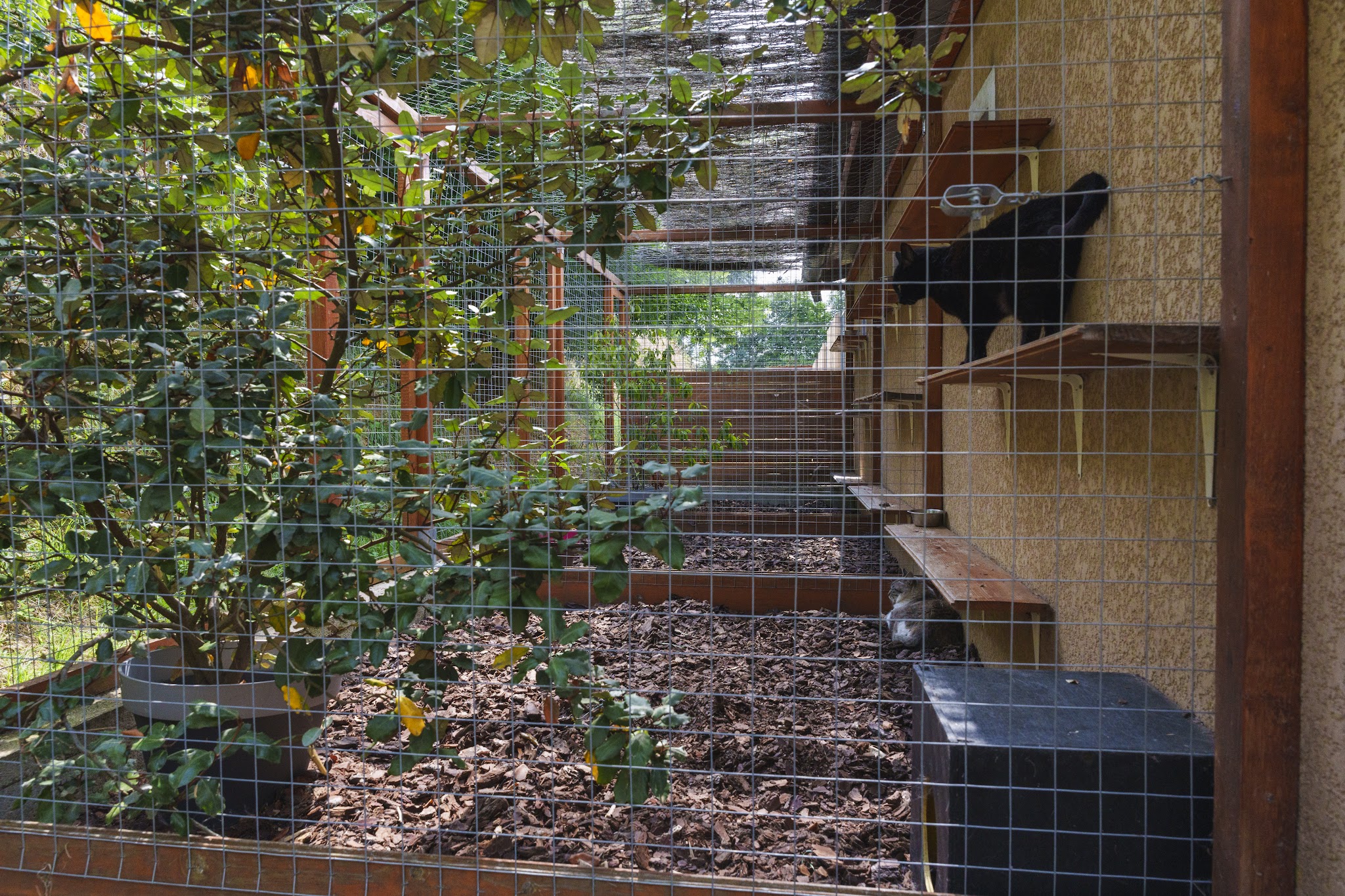 Pension du Moulin Pommier — photo