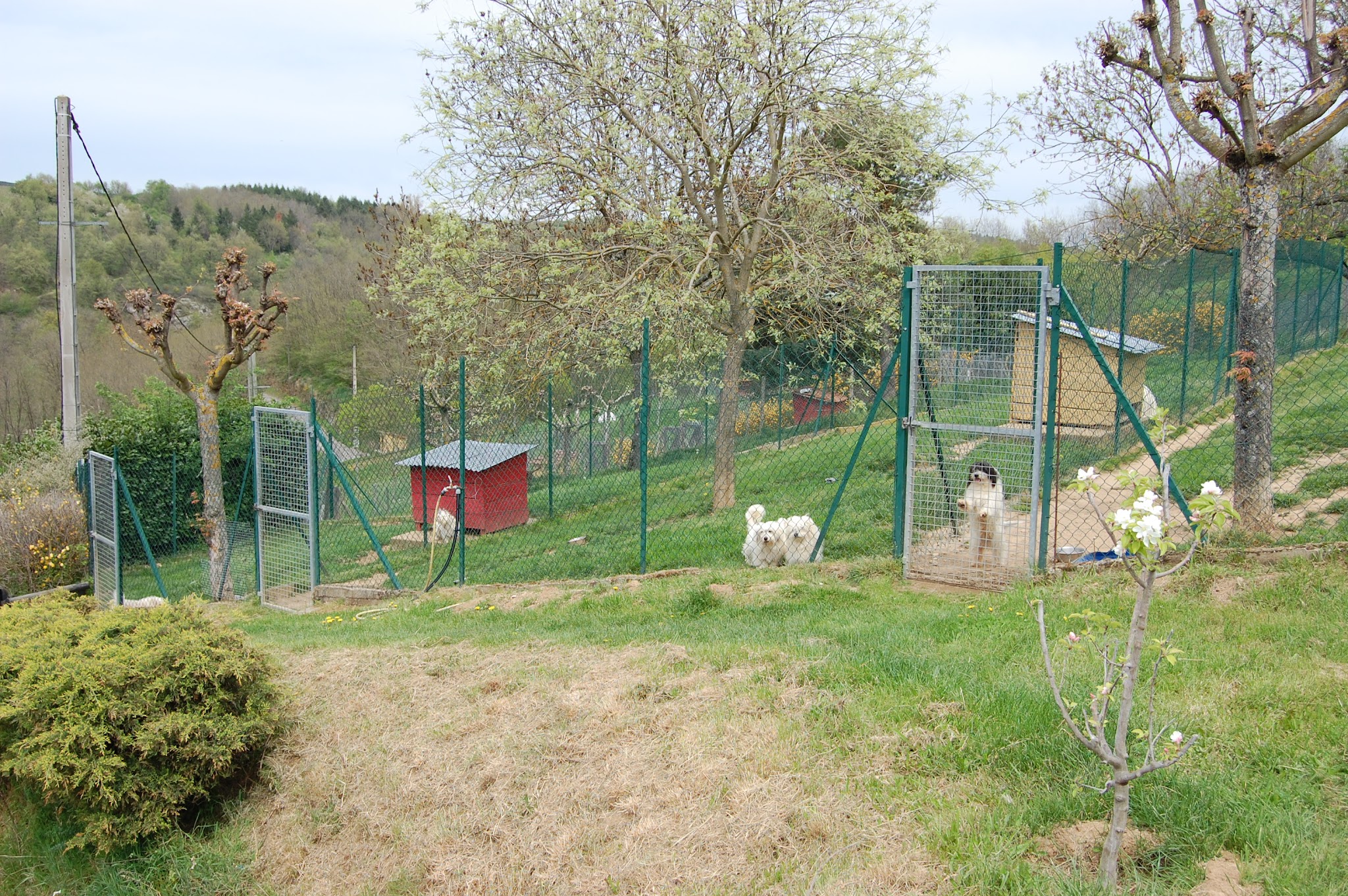 Pension du Moulin Pommier — photo