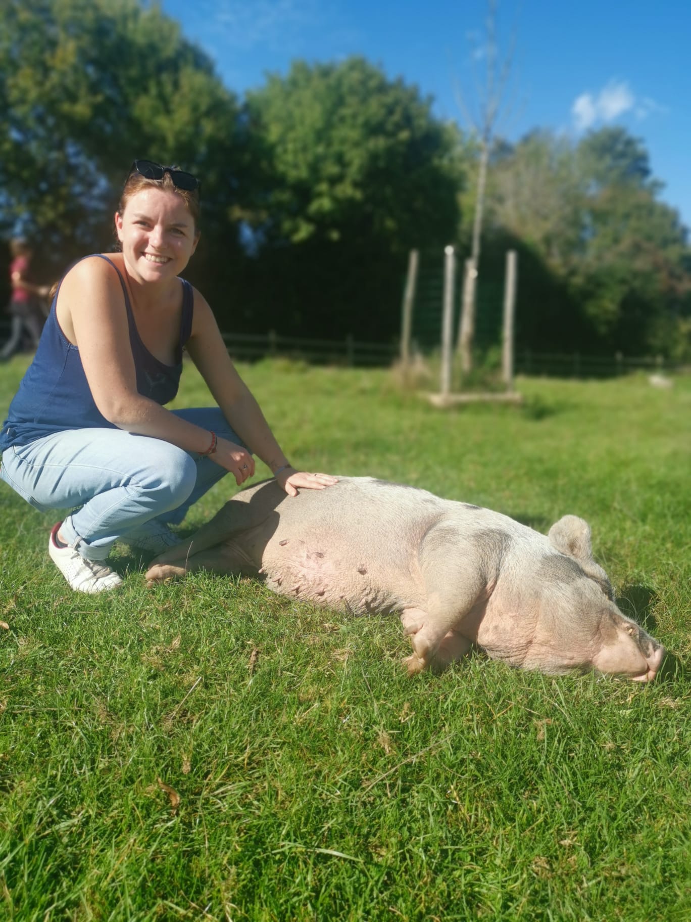 Anna Pet sitting — photo