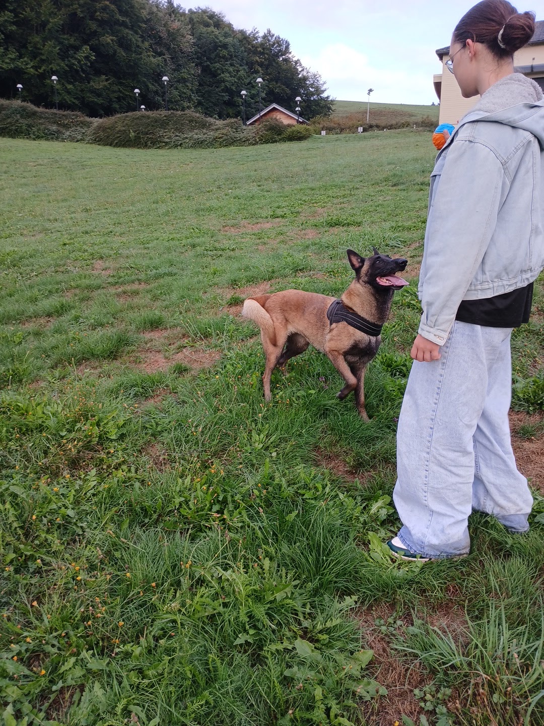 Pension Cani'tranquil — photo