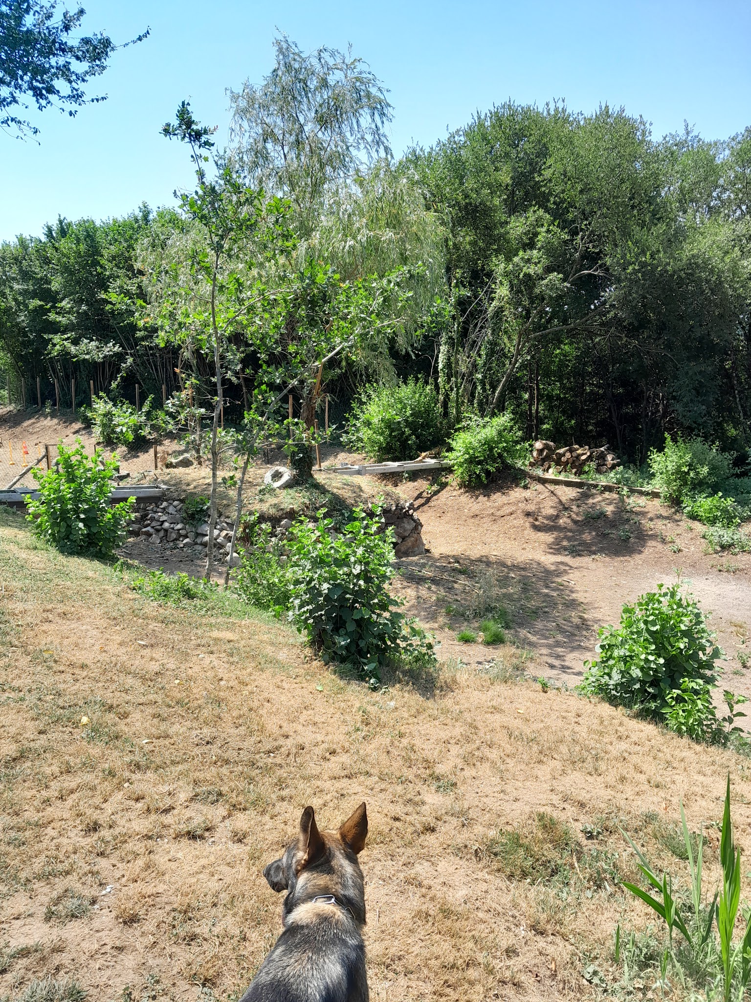 Pension Cani'tranquil — photo