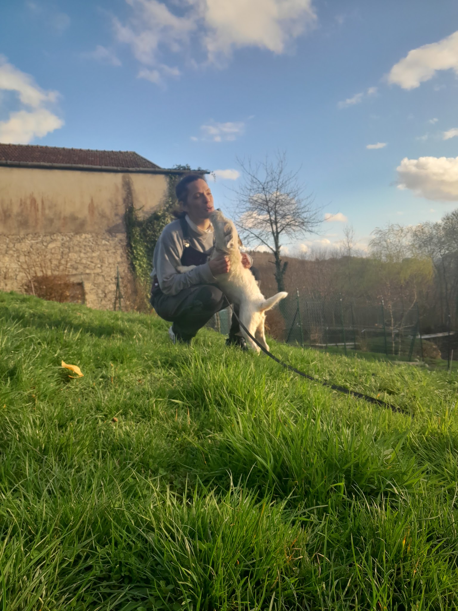Pension Cani'tranquil — photo