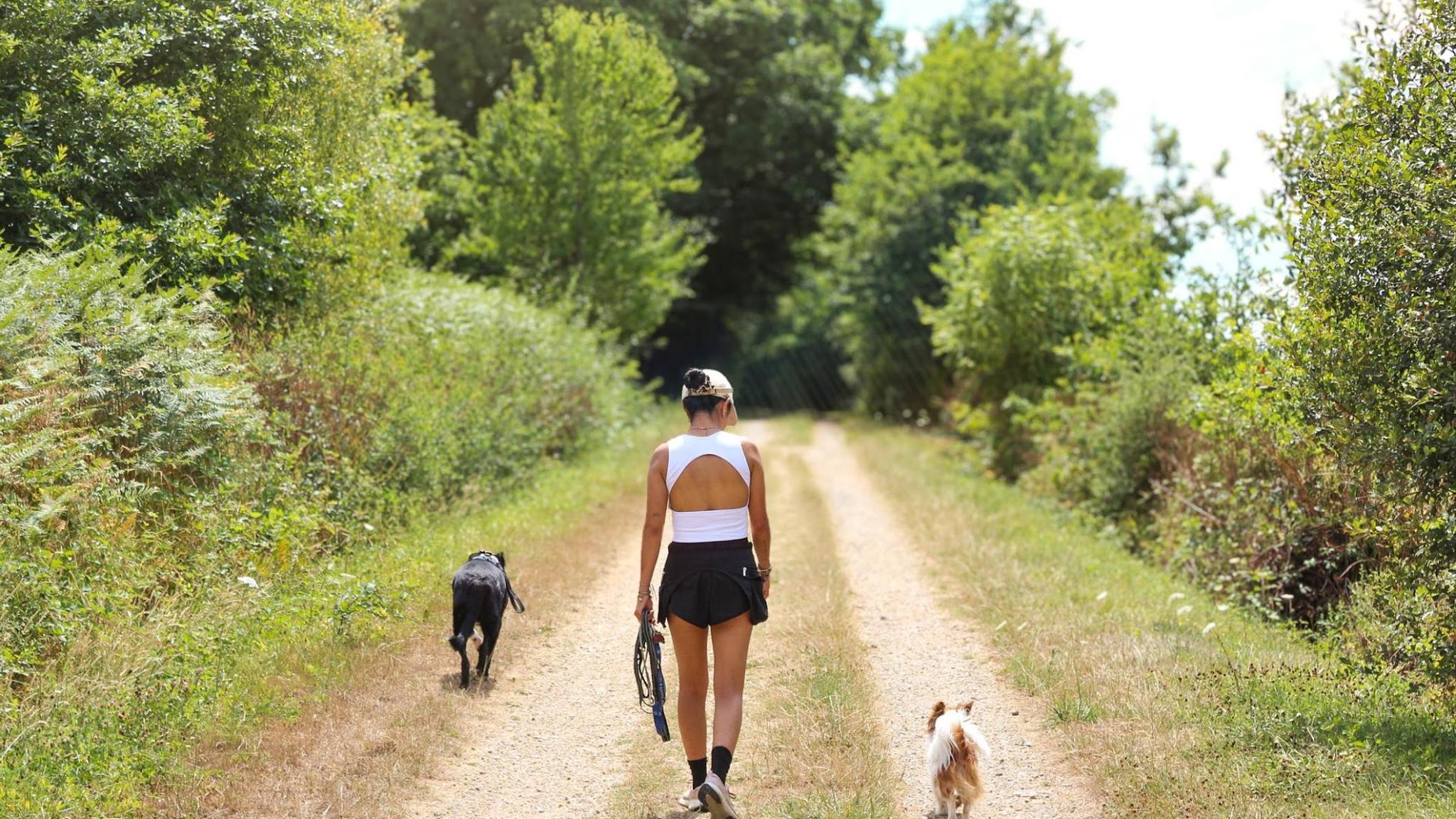 Pet's Heaven - Éducateur comportementaliste canin Rennes