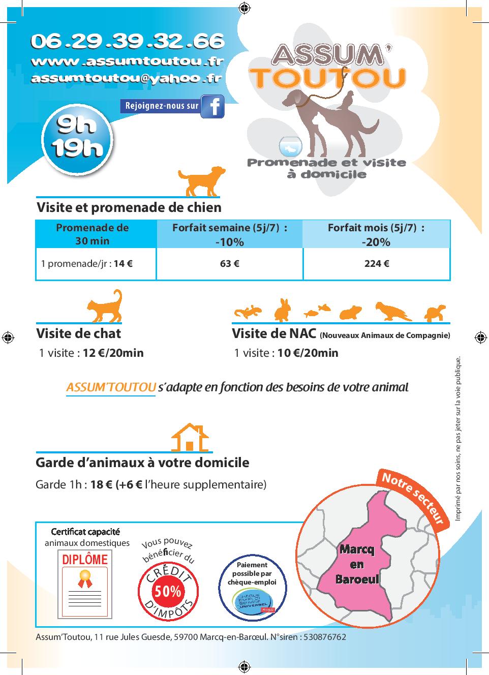 Assumtoutou | Garde d'animaux | Promenade | Chats, Chiens, NAC — photo