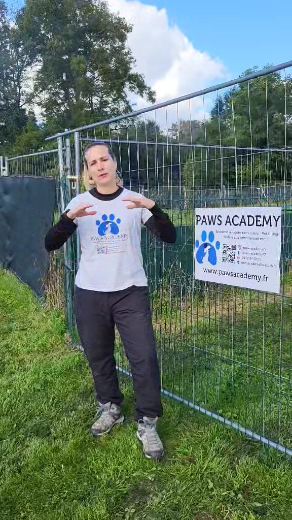 PAWS ACADEMY — photo