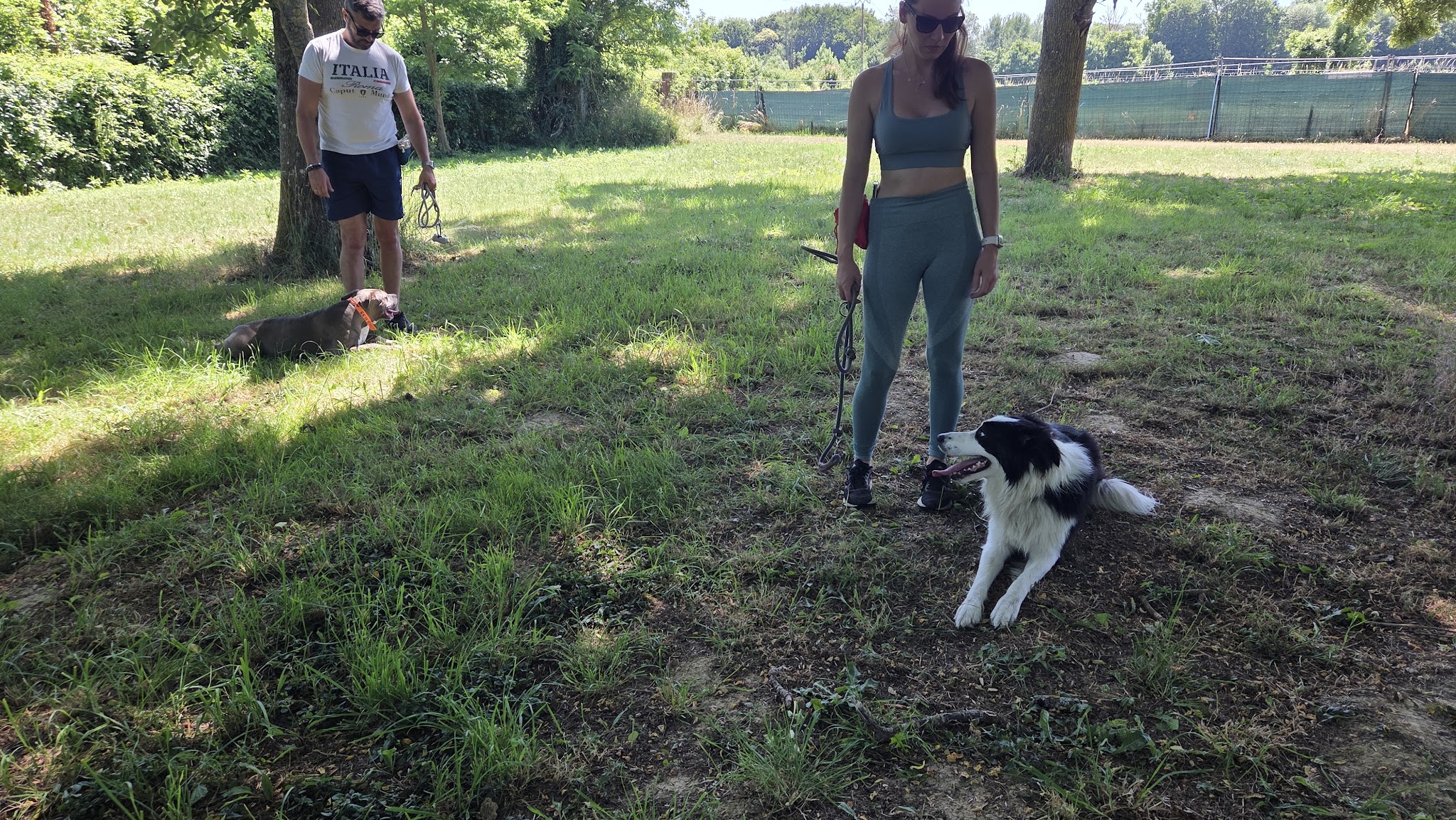 PAWS ACADEMY — photo