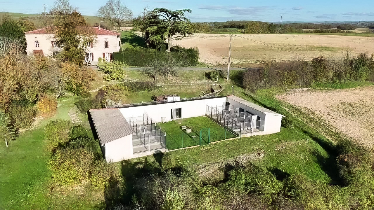 LES GRENIERS DU ROY Elevage Bergers Allemand Pension Canine et feline — photo