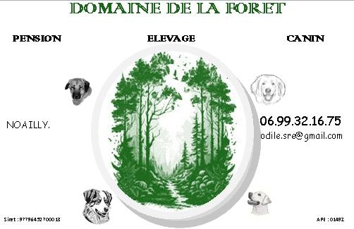 Domaine de la Forêt 42 — photo