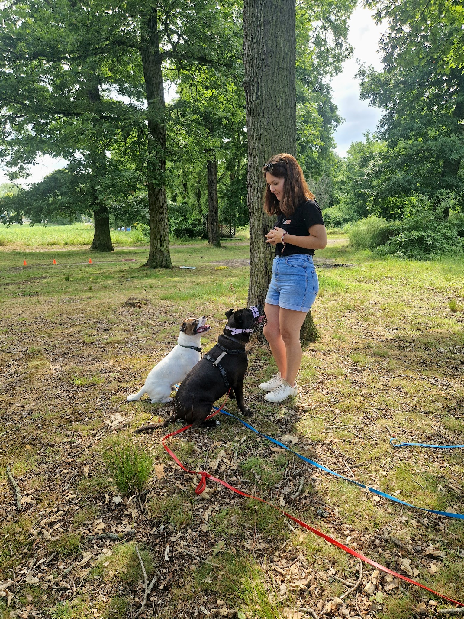 Une Patte Un Sabot • Educatrice Comportementaliste Canin — photo