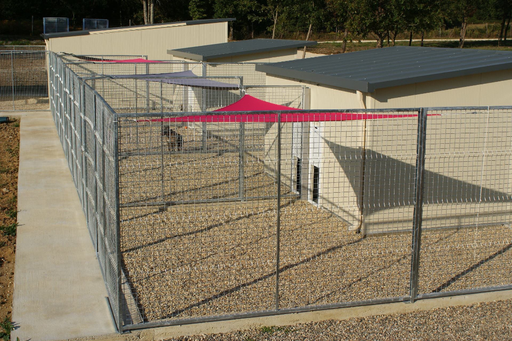Centre Canin et Félin Mas Dog — photo