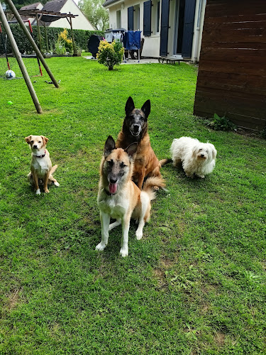 Pet Sit'love