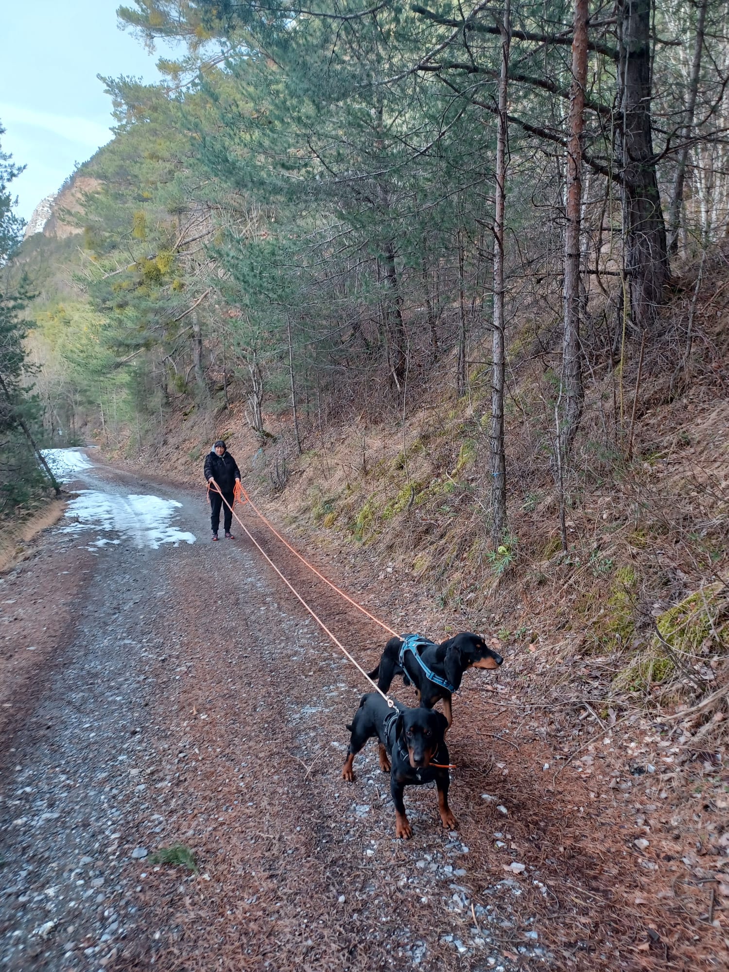 Daf-Waf Pet Sitting Eygliers (05) — photo