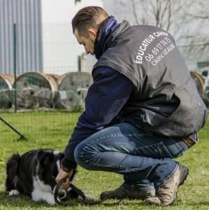 Legallais Cédric Pension Education Canine — photo