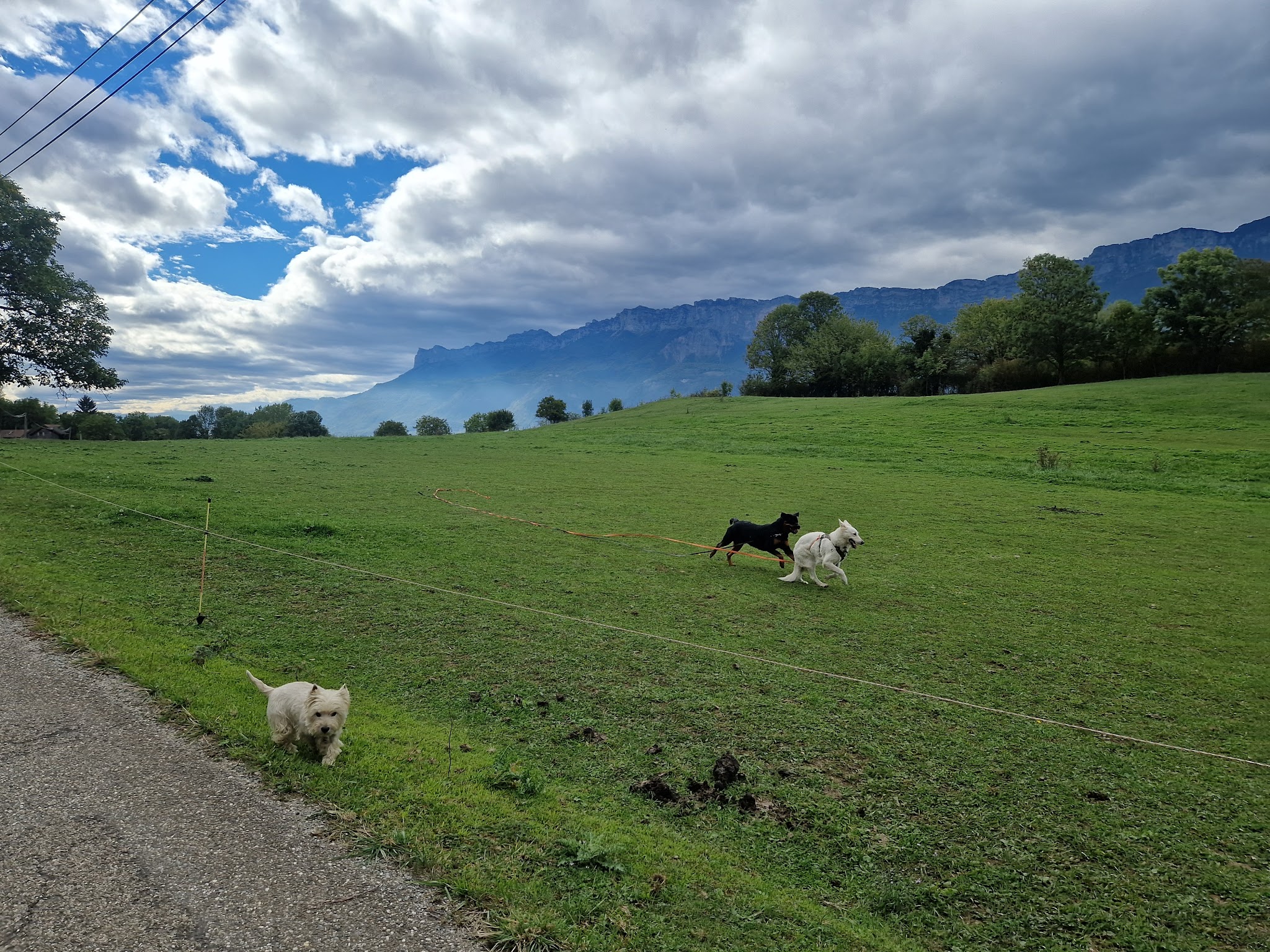 Pension et Elevage du cœur de Belledonne — photo