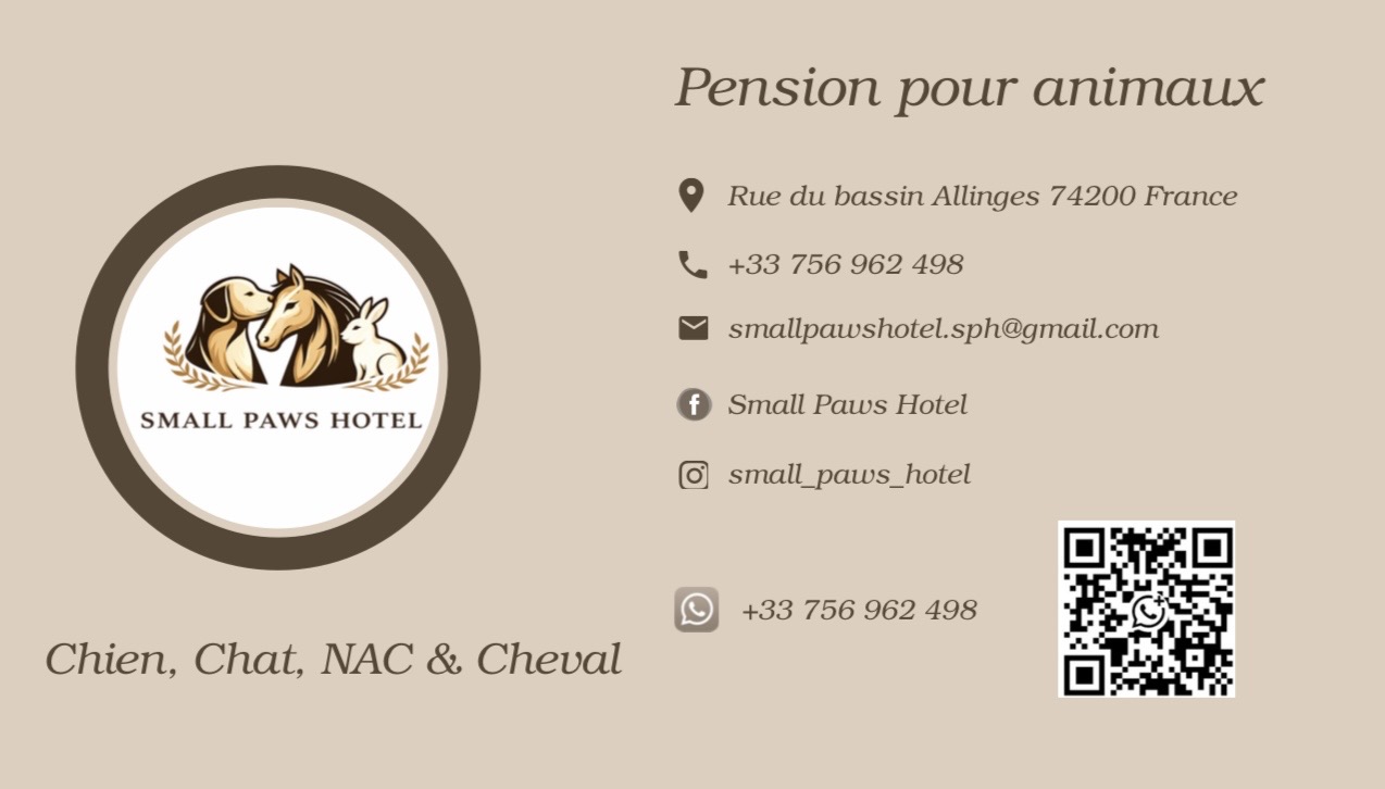 Small Paws Hotel — photo