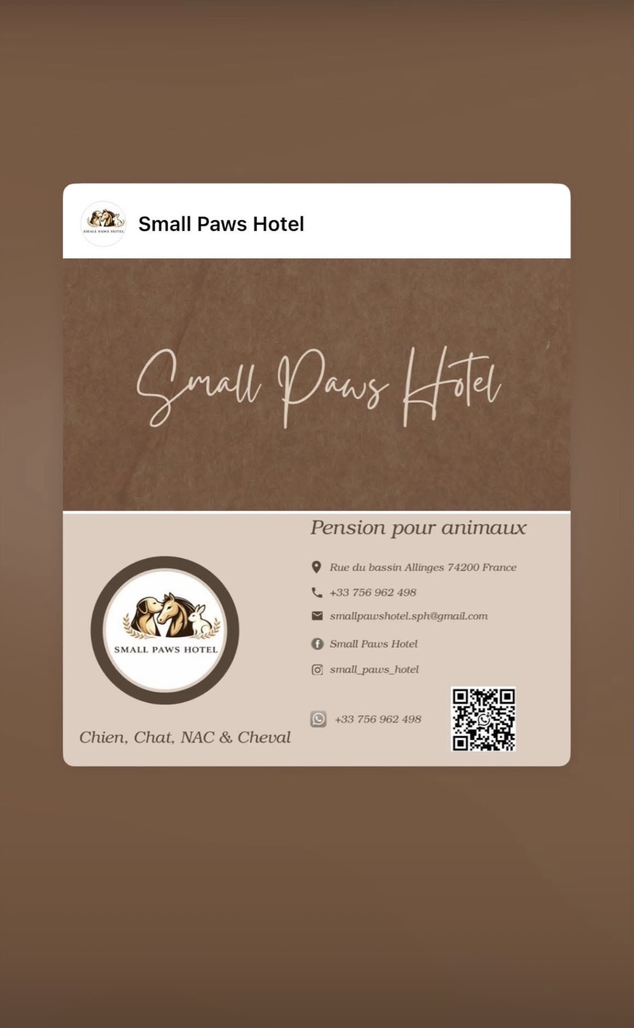 Small Paws Hotel — photo