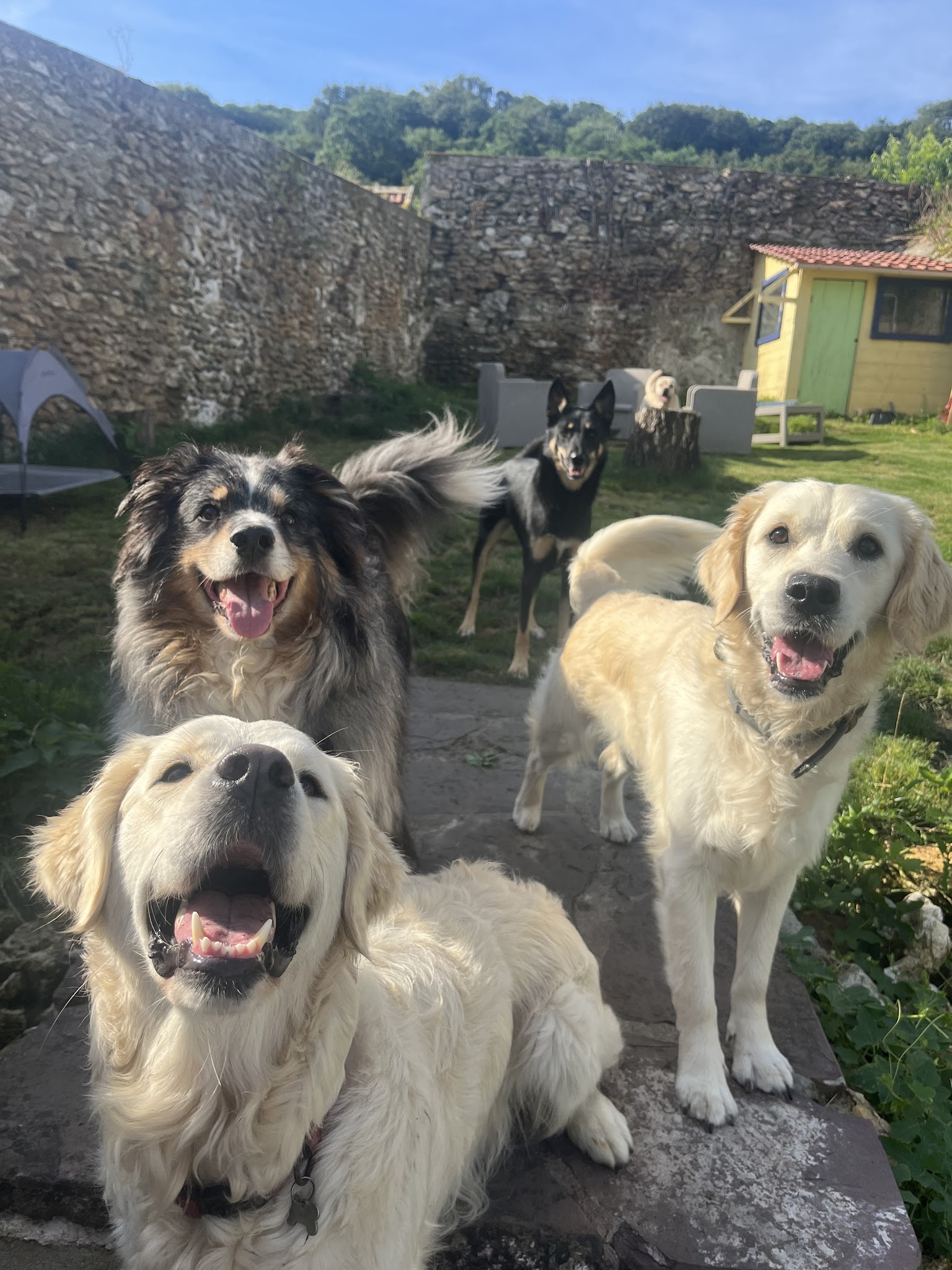 Les Pattounes de Jeidi et Taika — photo