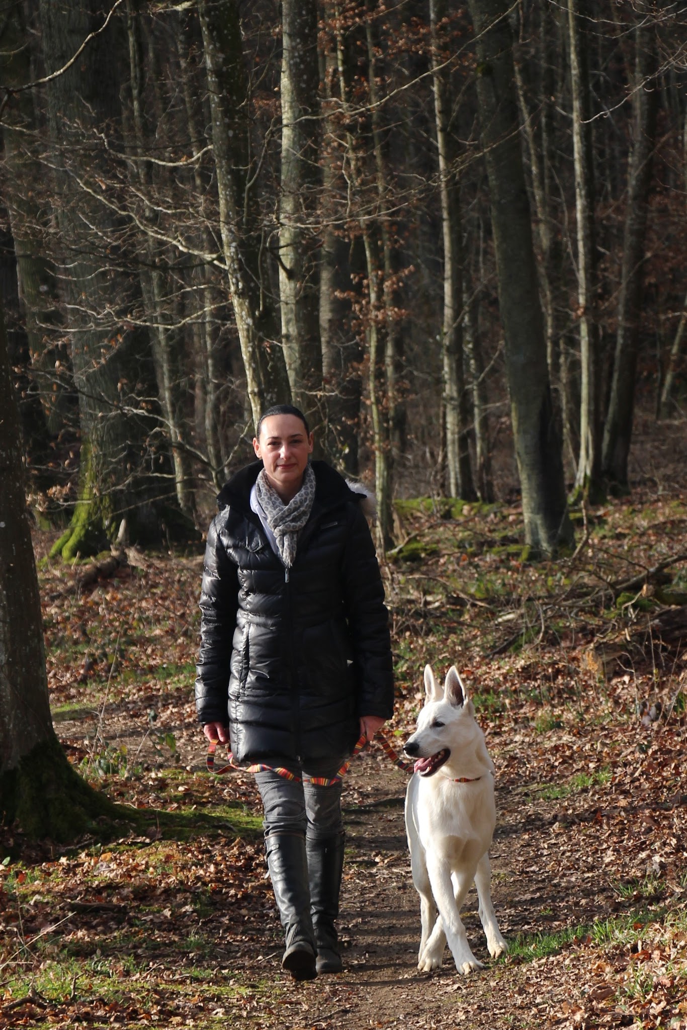 Les Amis d'Oslo - Pet Services