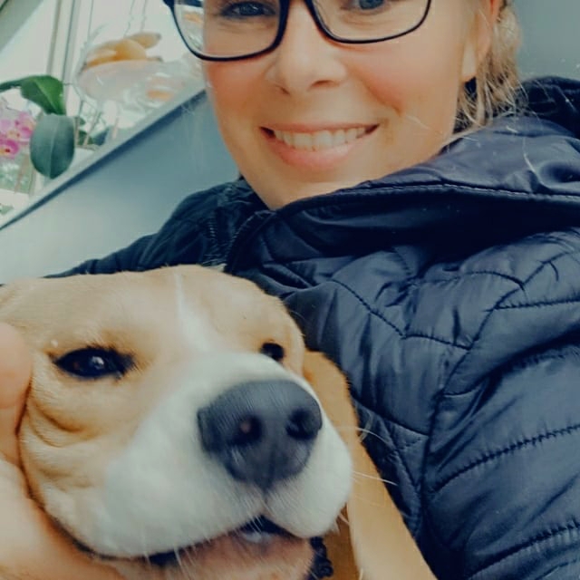 Les Compagnons de Lili — photo