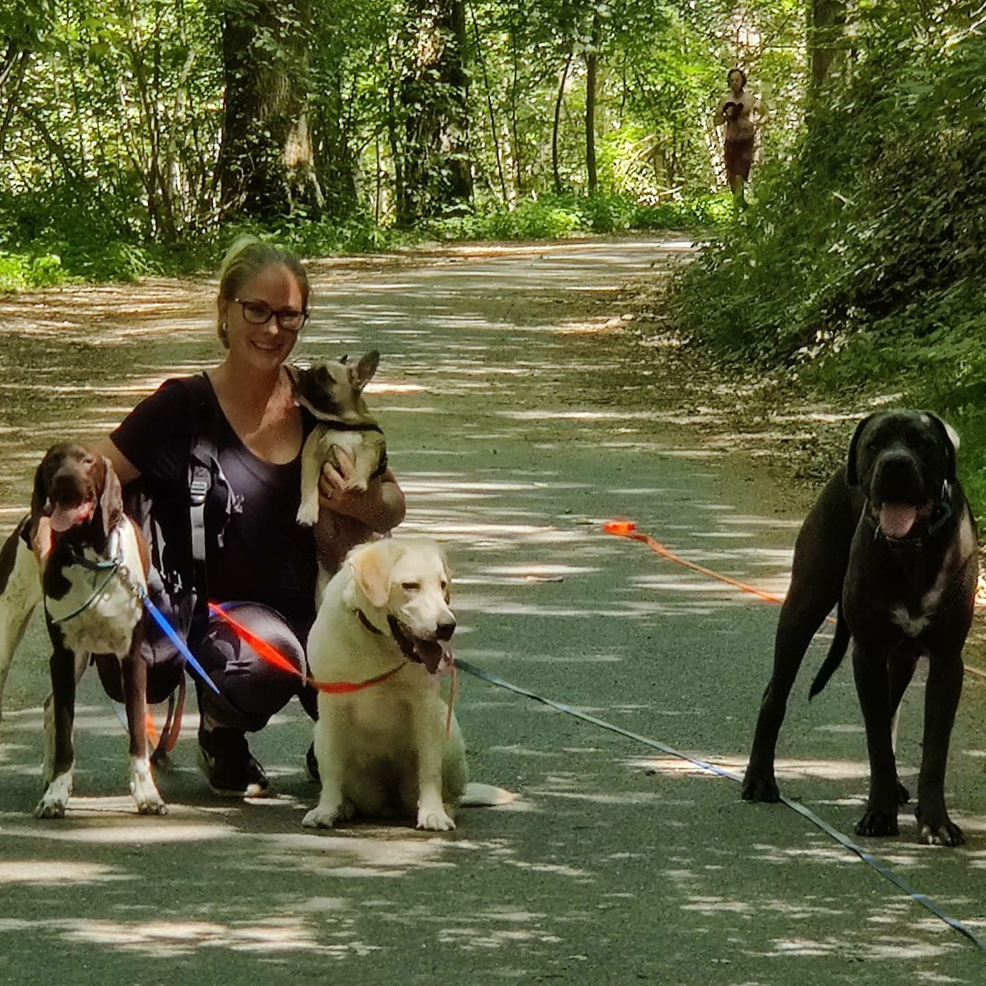 Les Compagnons de Lili — photo