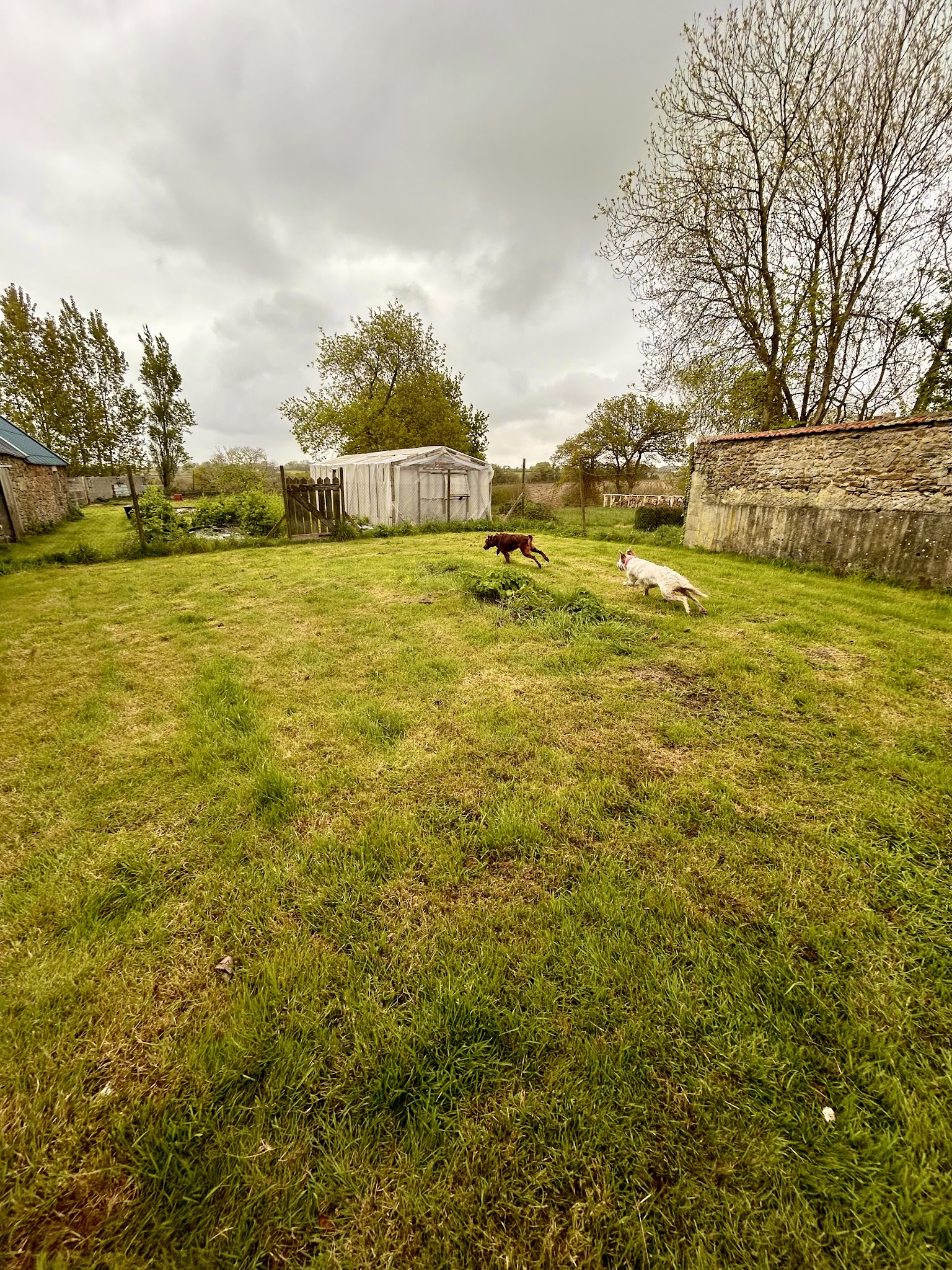 Pension canine de Kervagen — photo