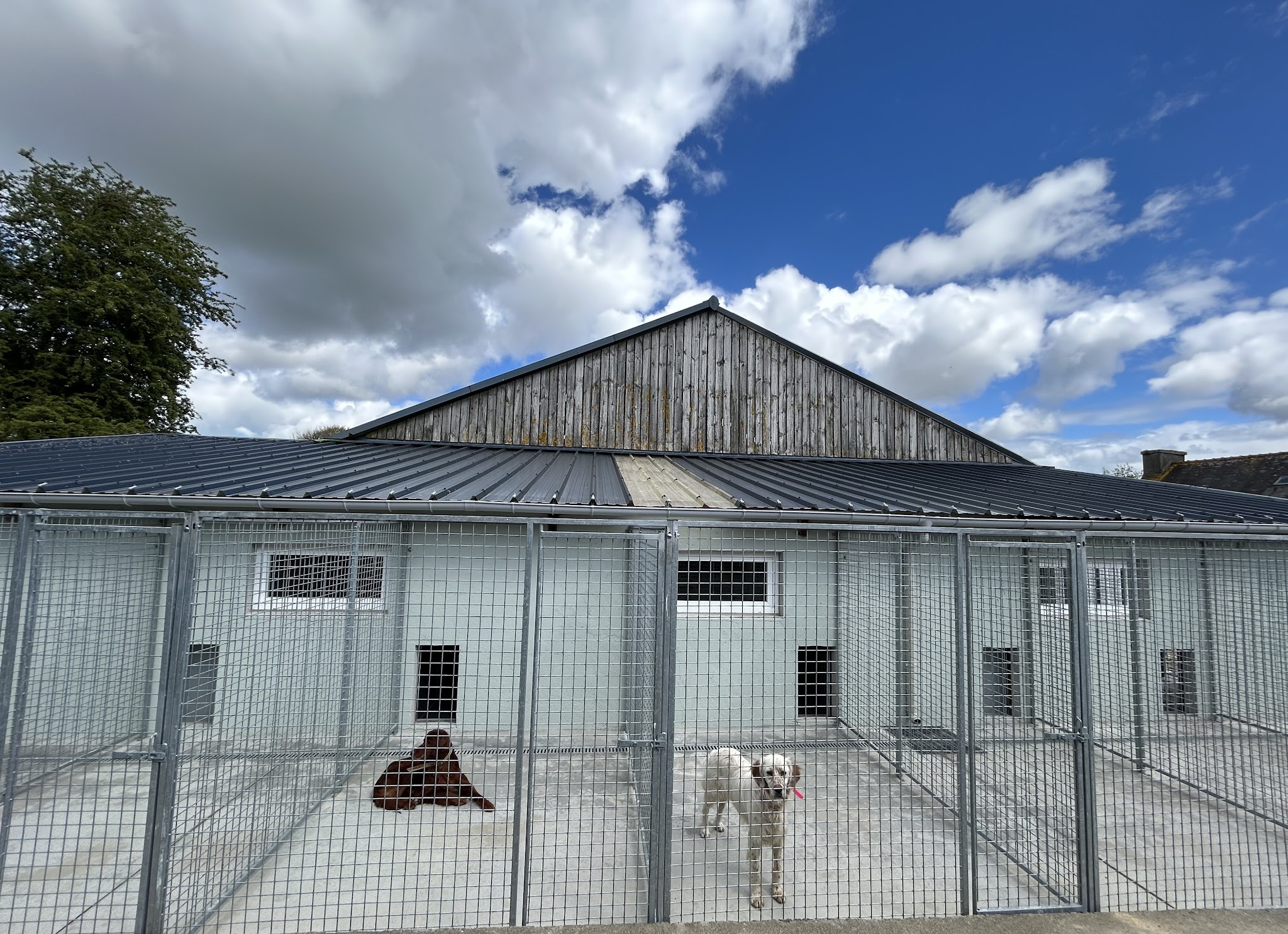 Pension canine de Kervagen — photo