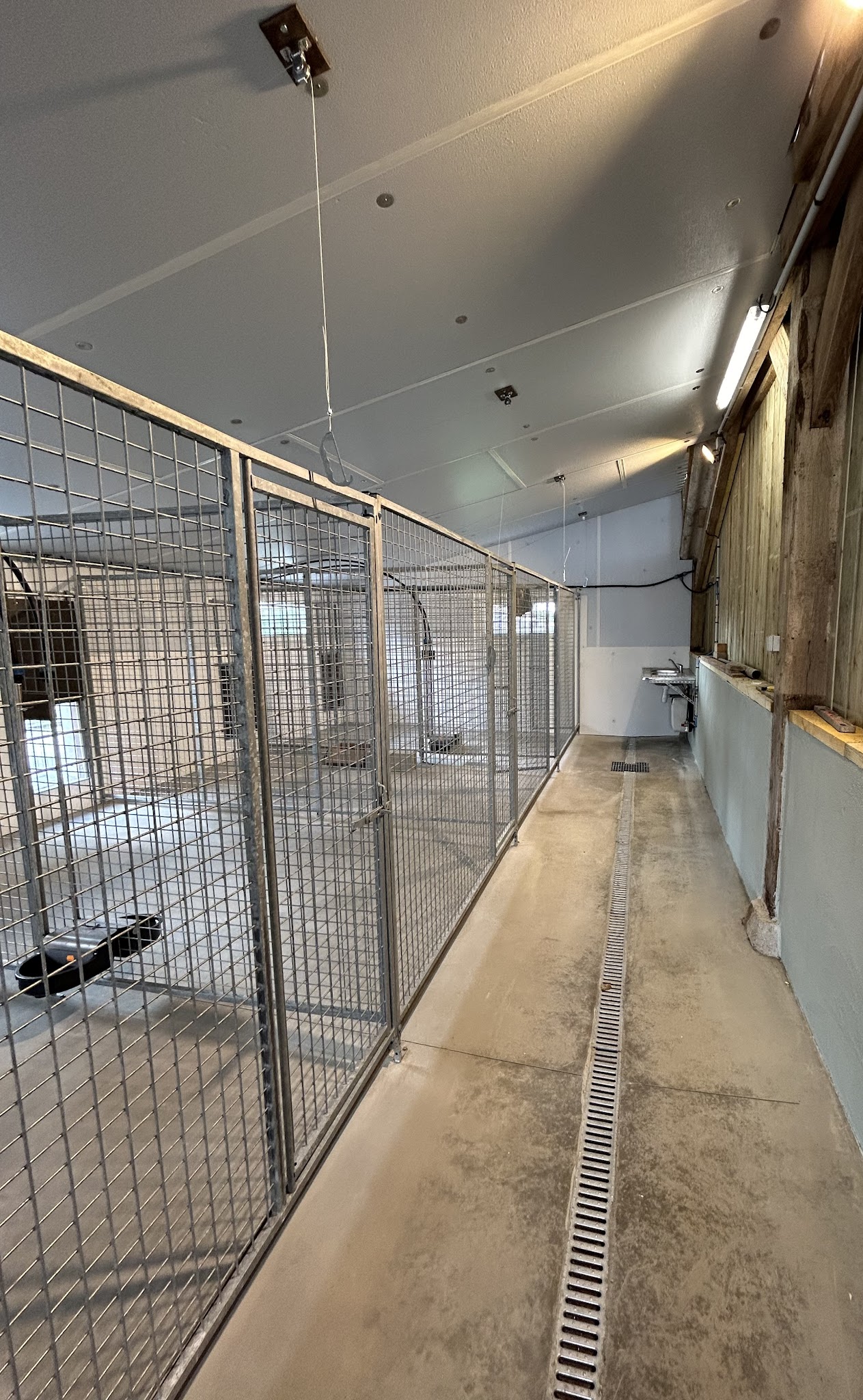 Pension canine de Kervagen — photo