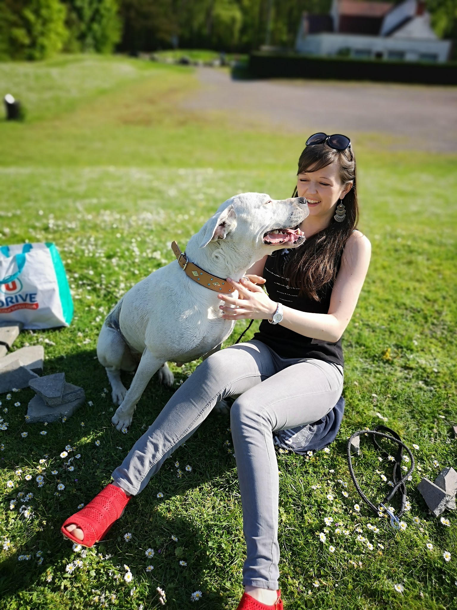 La Bonne Patte EI — photo