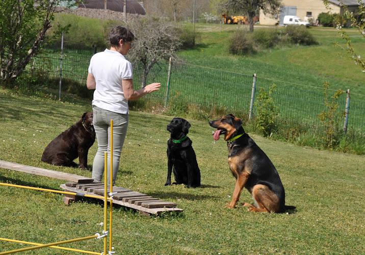 Chambre Dog Pension Canine 46