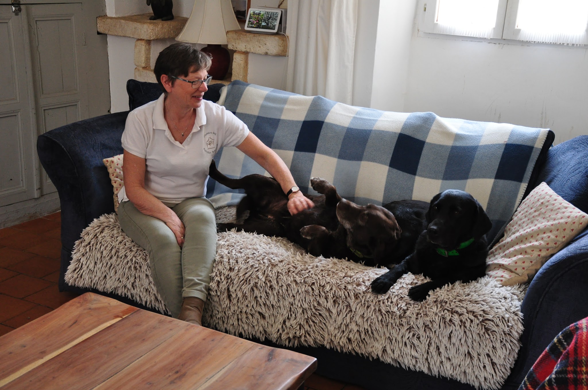 Chambre Dog Pension Canine 46 — photo