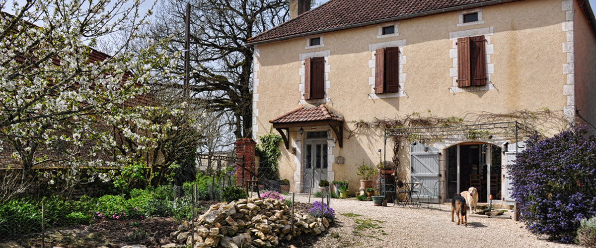 Chambre Dog Pension Canine 46 — photo