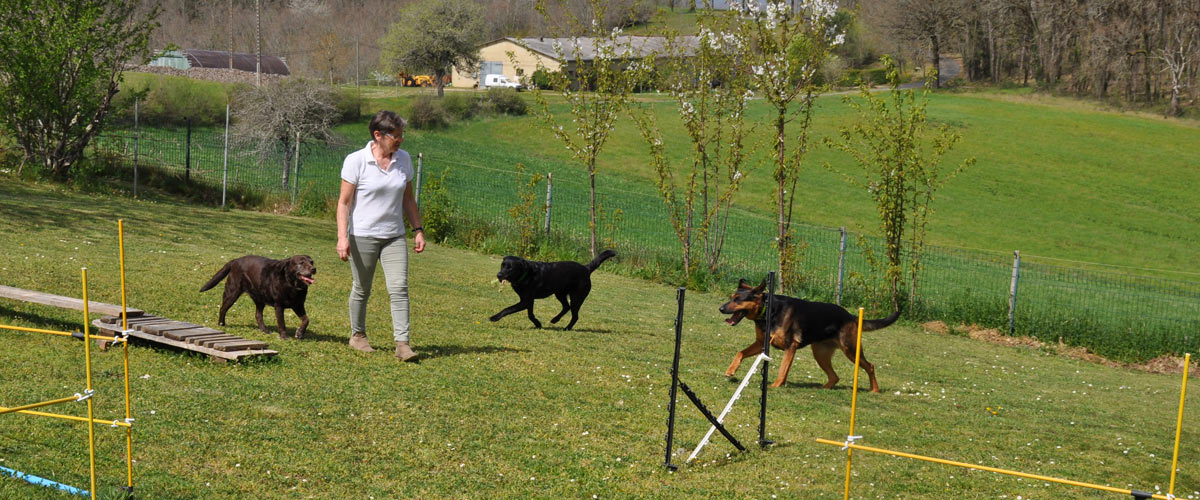 Chambre Dog Pension Canine 46 — photo