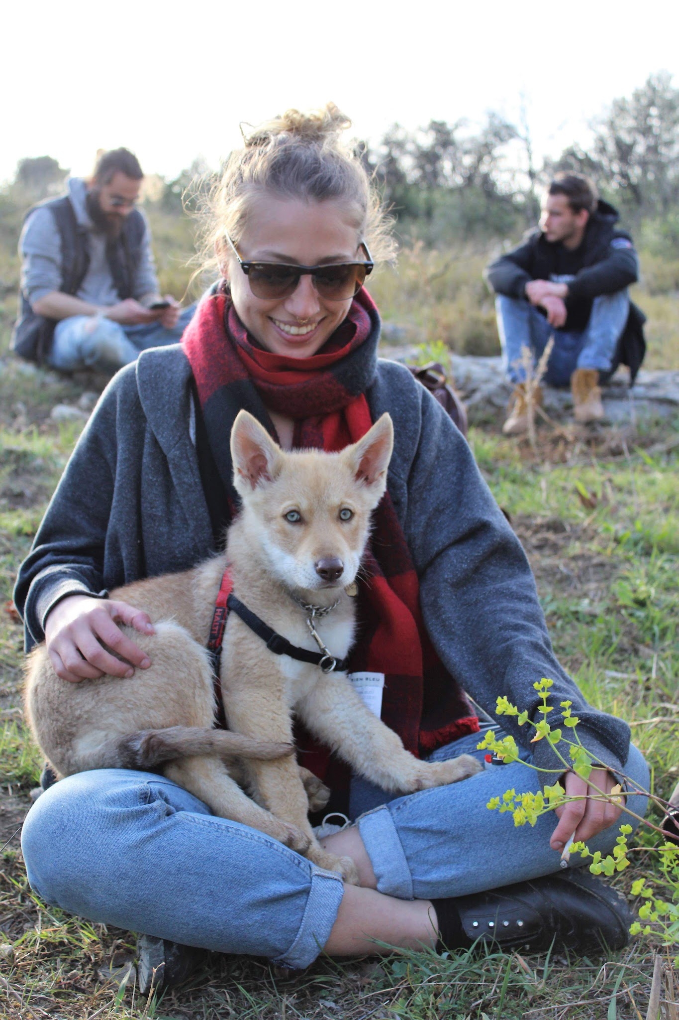 Seren'Dog - Éducateur Canin sur Montpellier et ses alentours - Dogsitter — photo