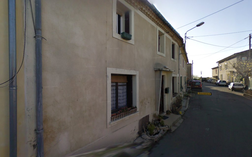 Seren'Dog - Éducateur Canin sur Montpellier et ses alentours - Dogsitter — photo