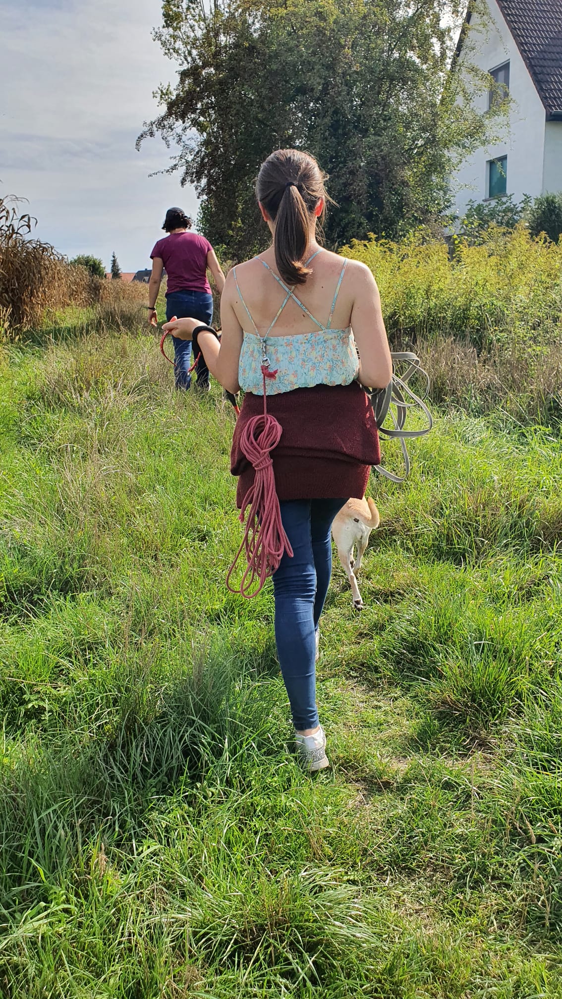 Les Amis d'Emilie — photo