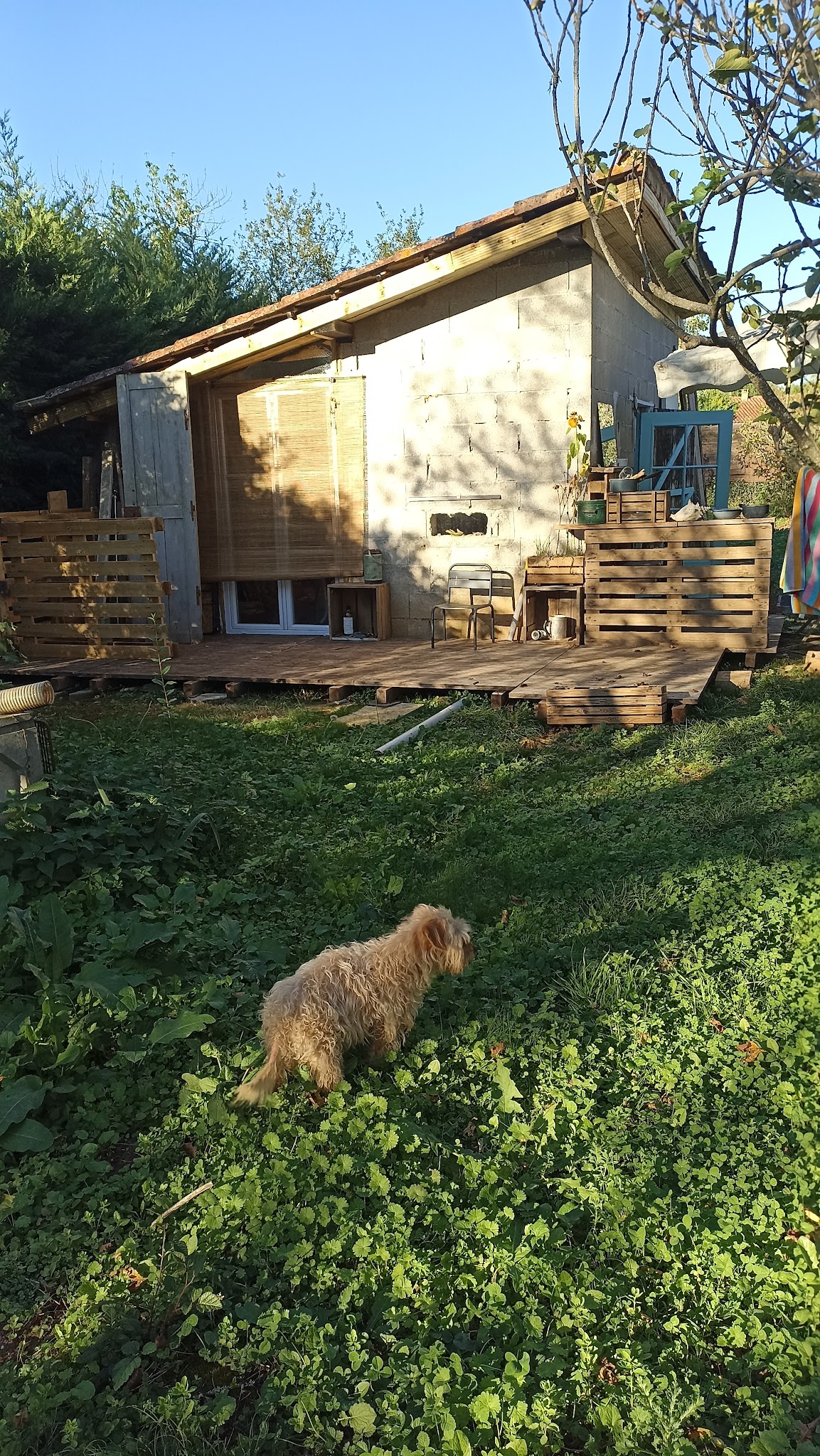 La maison douce — photo