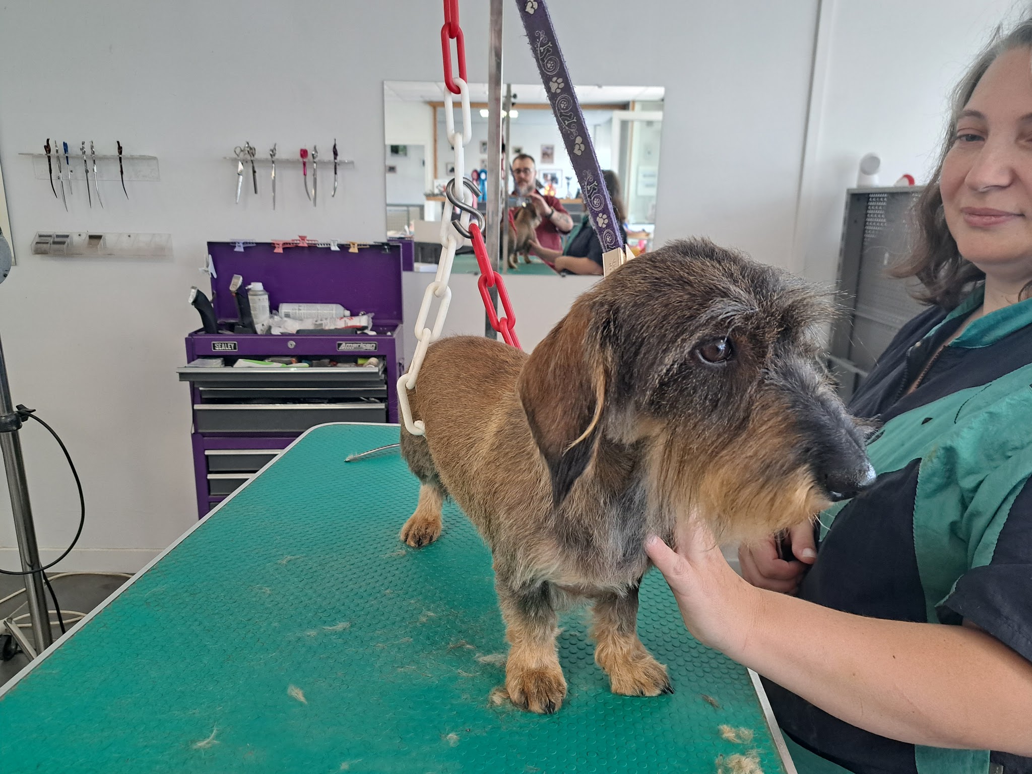 Lovely Dog — photo