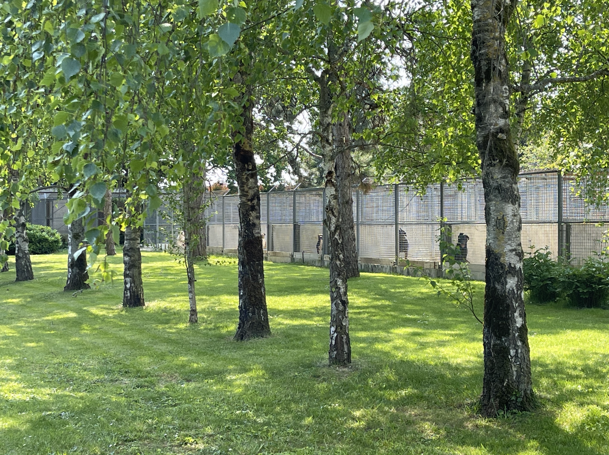 Pension Pour Tous — photo