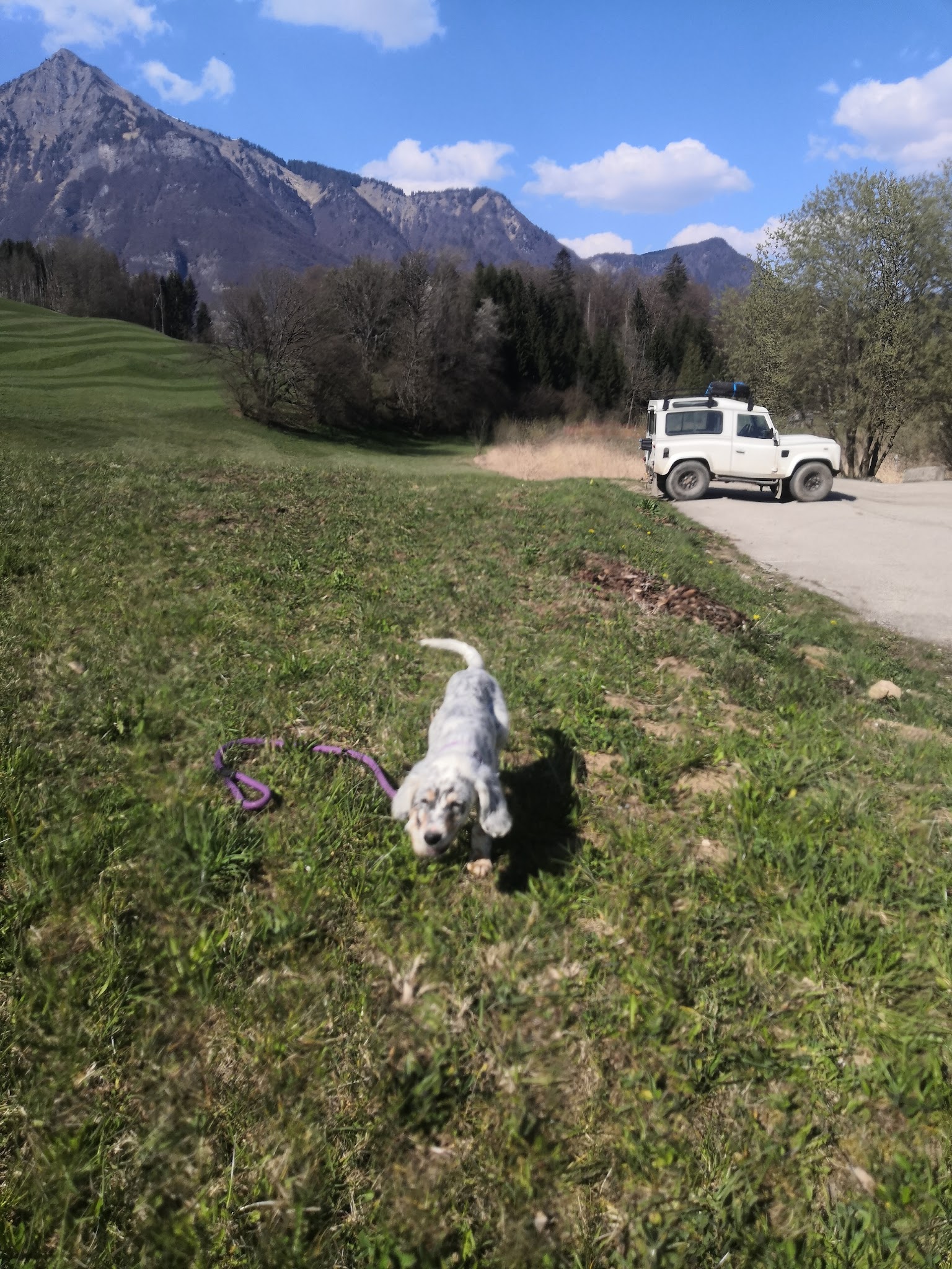 A.P.S Animaux Passions Services — photo