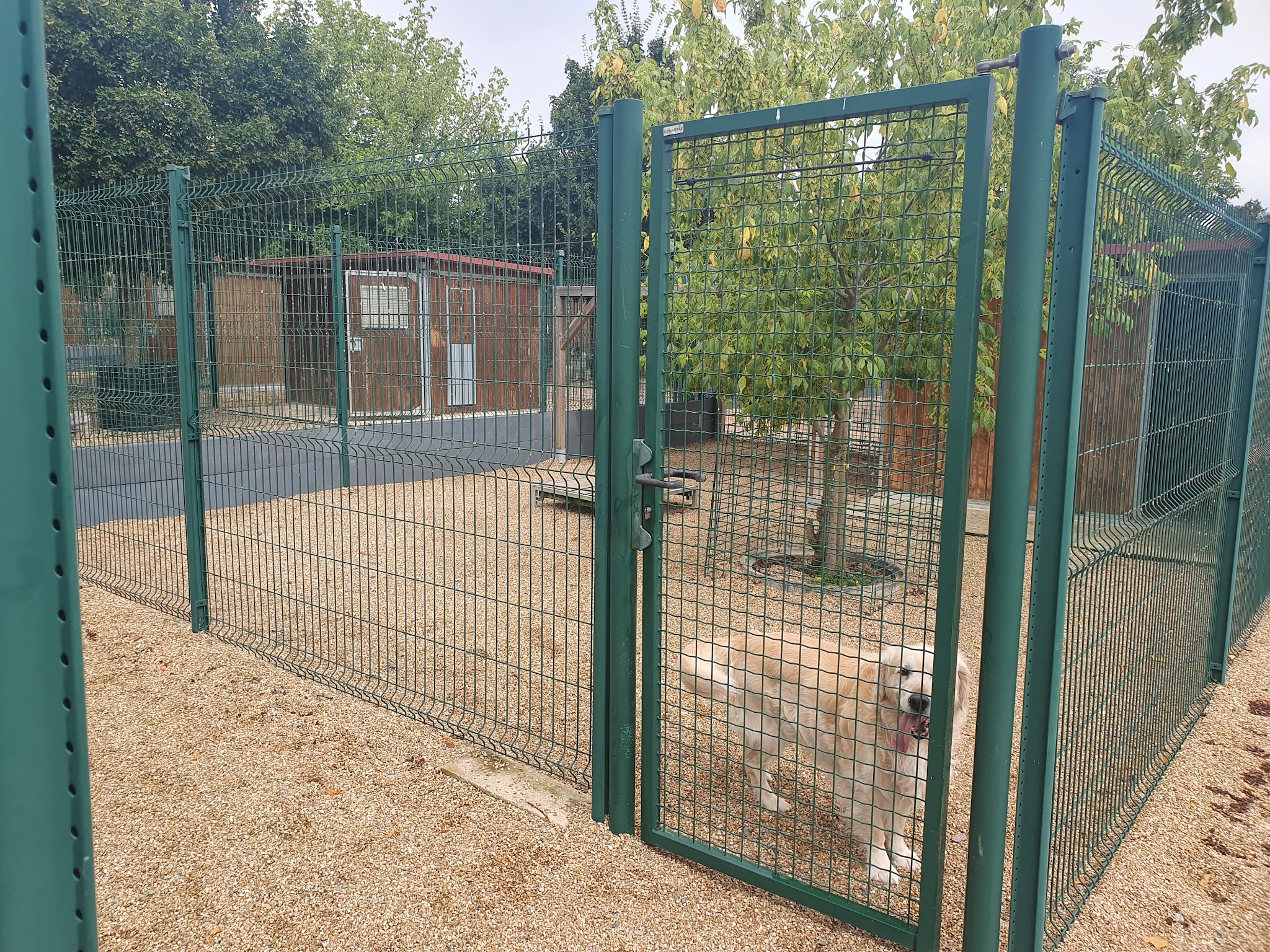 Centre canin et félin La Grange Aux Loups — photo