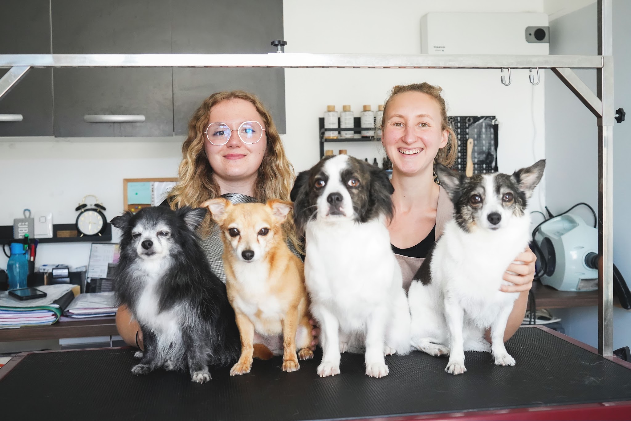 Domaine des 4 pattes - Chou, Chiens & Cie — photo