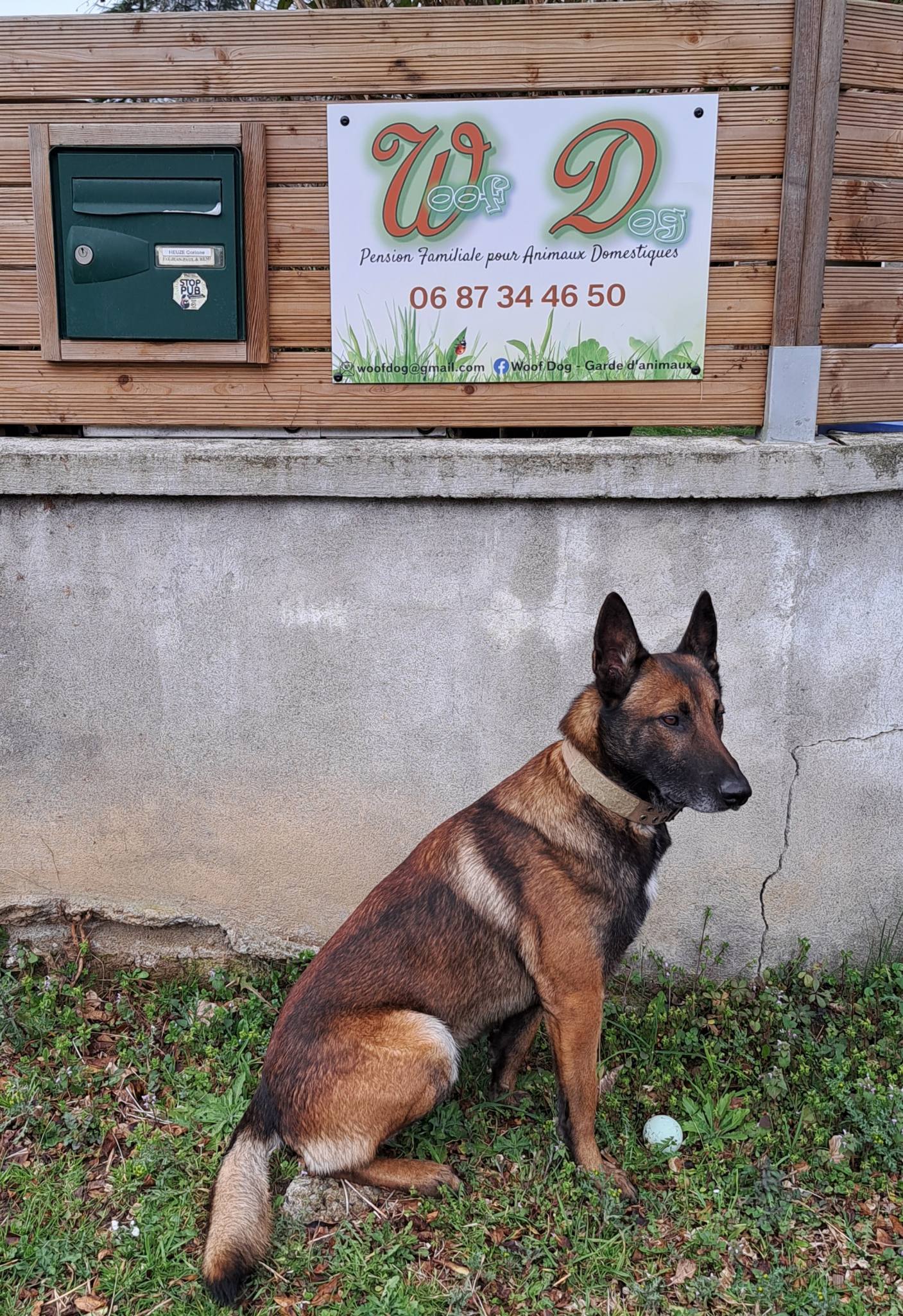Woof Dog — photo