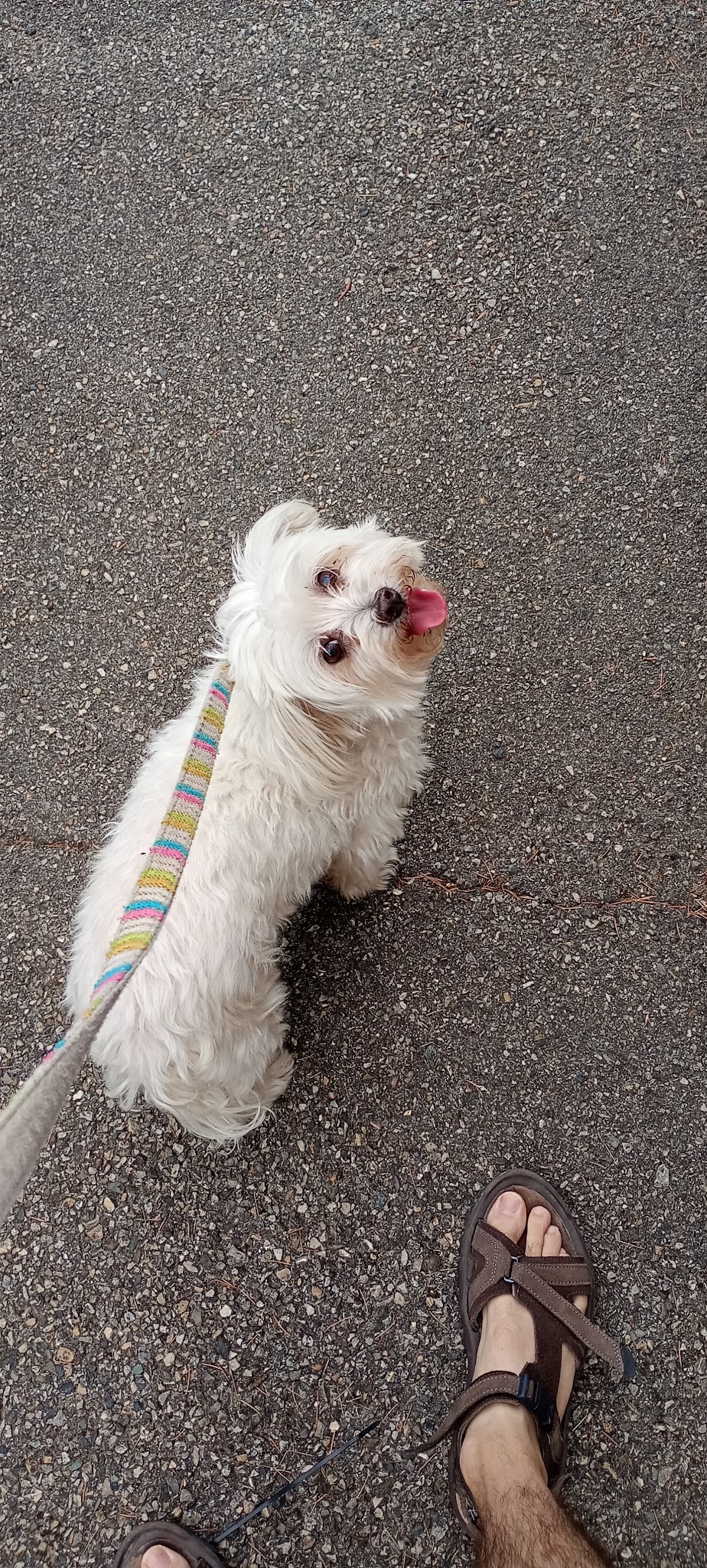 Garde La Truffe - Pet sitter Valence