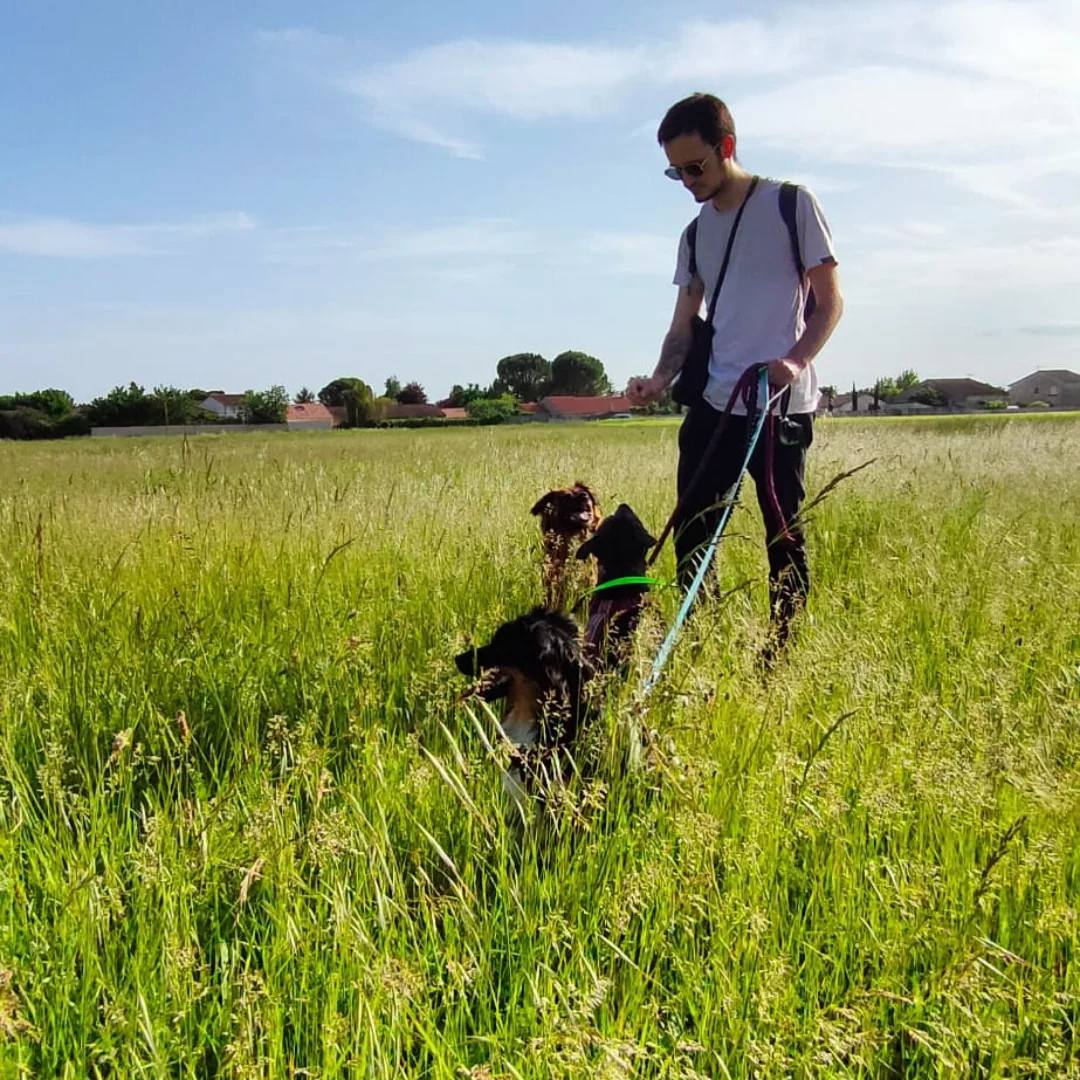 Garde La Truffe - Pet sitter Valence — photo
